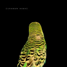 Armchair Apocrypha CD